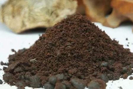 麝香对孕妇有什么危害