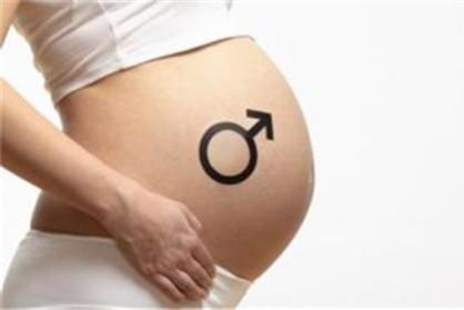 怀孕五个月男孩症状