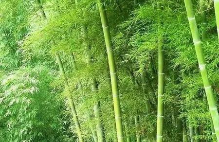 也许这个小故事，会成为你和孩子的人生转折点！
