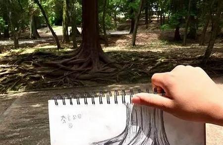走过多个国家，一个男孩在四年时间里的边走边画