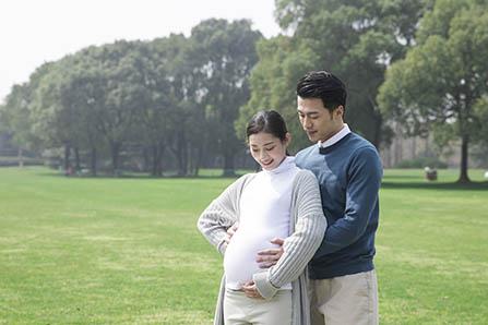 小矮人与怪兽的故事