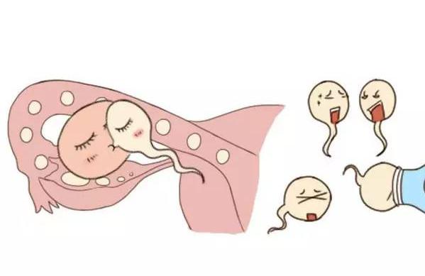 暖医孕期40周完全指导