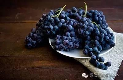 夏季气温高吃什么水果好？孕妇夏季必备清凉食谱