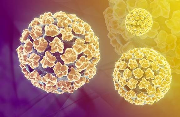 HPV预防宫颈癌疫苗全科普