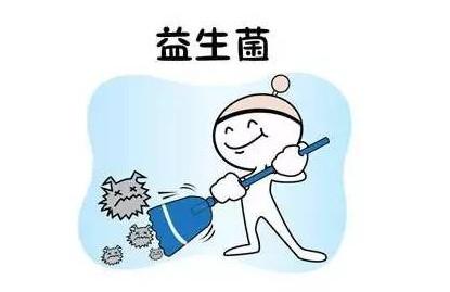 益生菌各有神通，服用必知的4件事