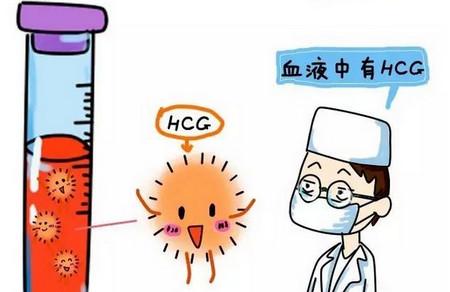 一张图告诉你：什么是试管婴儿