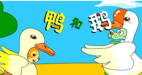 鸭和鹅