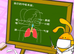 呼吸系统篇