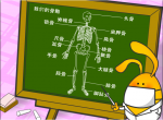 骨骼篇