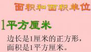 认识面积的单位