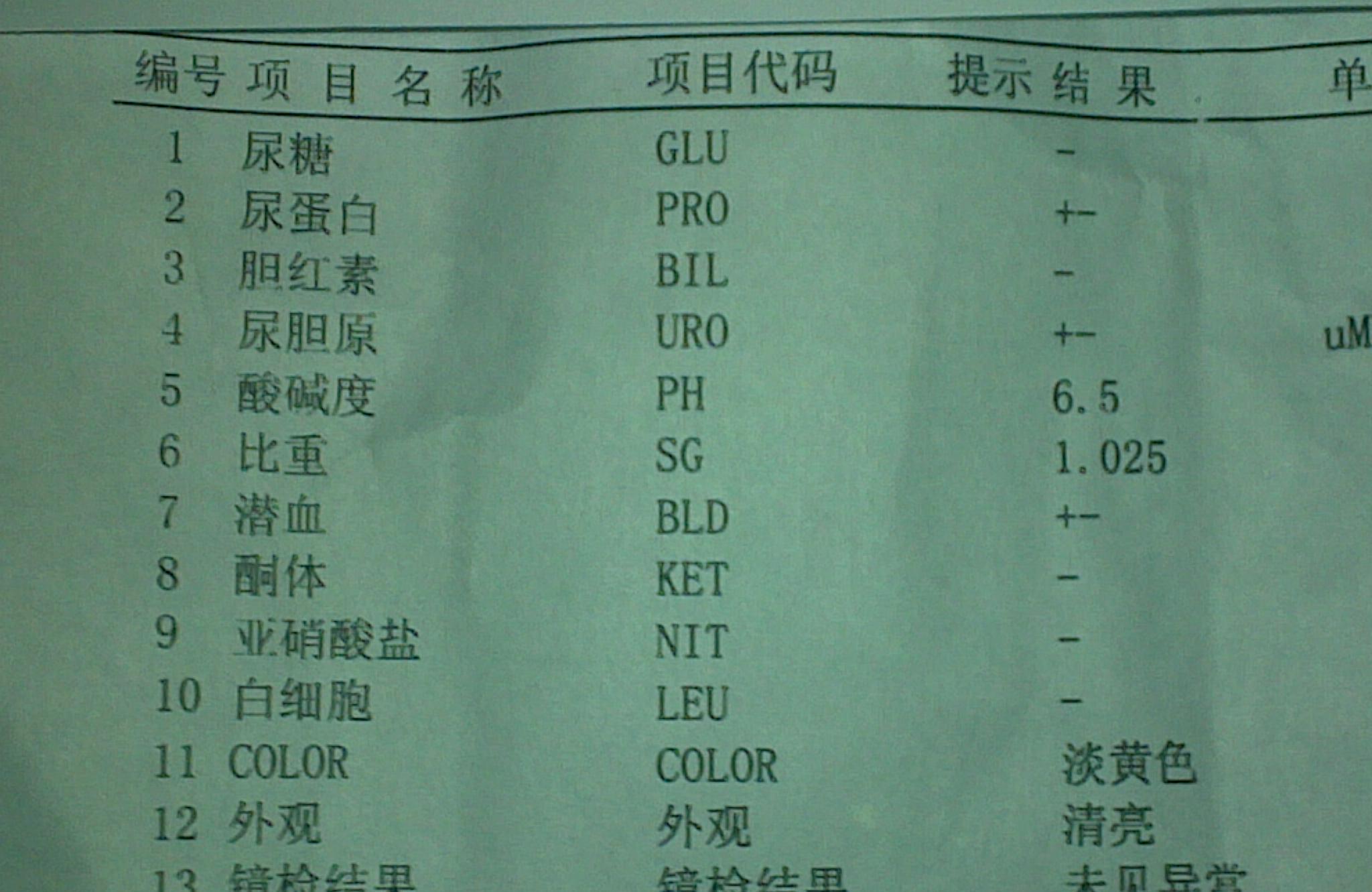 儿科医生教你读懂检验单--尿常规