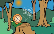 大树桩 你有几岁