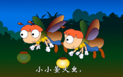 小小萤火虫