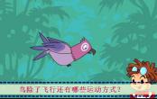 鸟类小百科