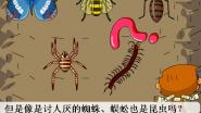 昆虫小百科