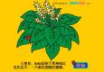 能干的生物学家