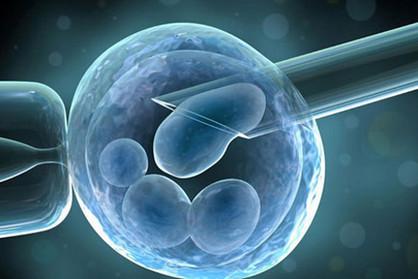 冻胚进周期前需要做哪些准备？