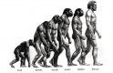 达尔文与进化论