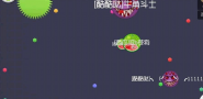 飞天猫咪