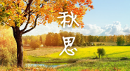 秋思 张籍视频