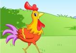 骄傲的大公鸡