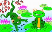 小蝌蚪找妈妈
