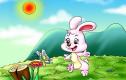 小兔子找太阳