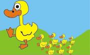 小鸭找朋友