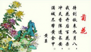菊花古诗视频