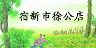 宿新市徐公店视频