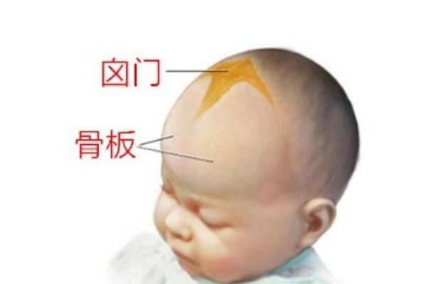 儿科医生妈妈：新生儿的头部&囟门&囟门乳痂