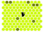 困住黑猫