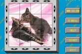 猫咪拼图