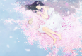 找水晶之樱花祭