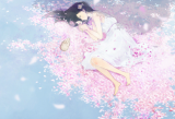 找水晶之樱花祭