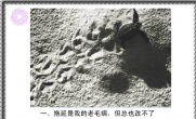 幸运365
