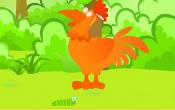 骄傲的大公鸡