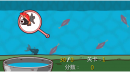捞金鱼