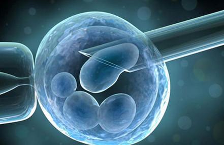 试管婴儿冻胚移植需要等多久？