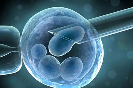 试管婴儿冻胚移植需要等多久？