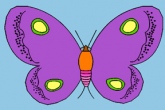 蝴蝶著色