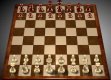 国际象棋