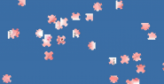 拼海星