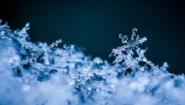   飘落的雪花