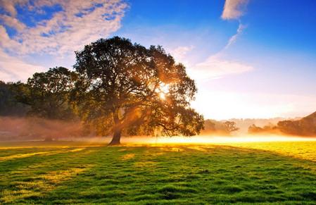 尹荐：大自然，不言而教的课堂——《昆虫记》