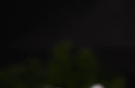 化疗后吃什么恢复快