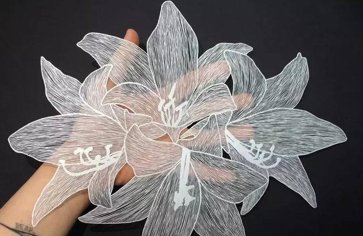 她靠一张白纸，火遍了全球