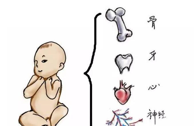怀孕了怎么吃挺纠结？先拣重要的说一说。