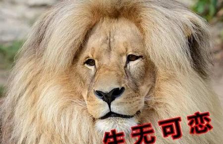从小拥有一头自来卷是一种怎样的体验？