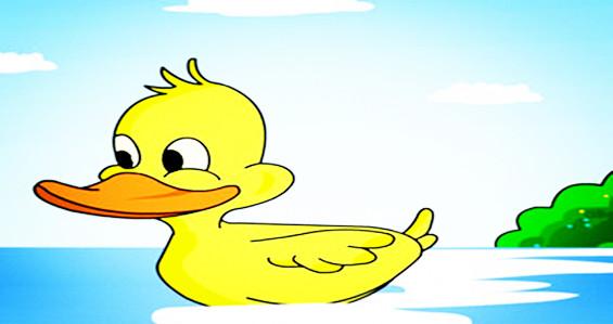 小鸭子儿歌舞蹈